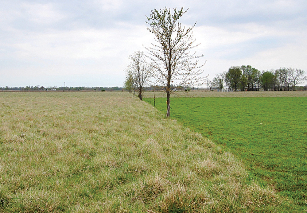 Fire In Your Pasture: Friend or Foe?